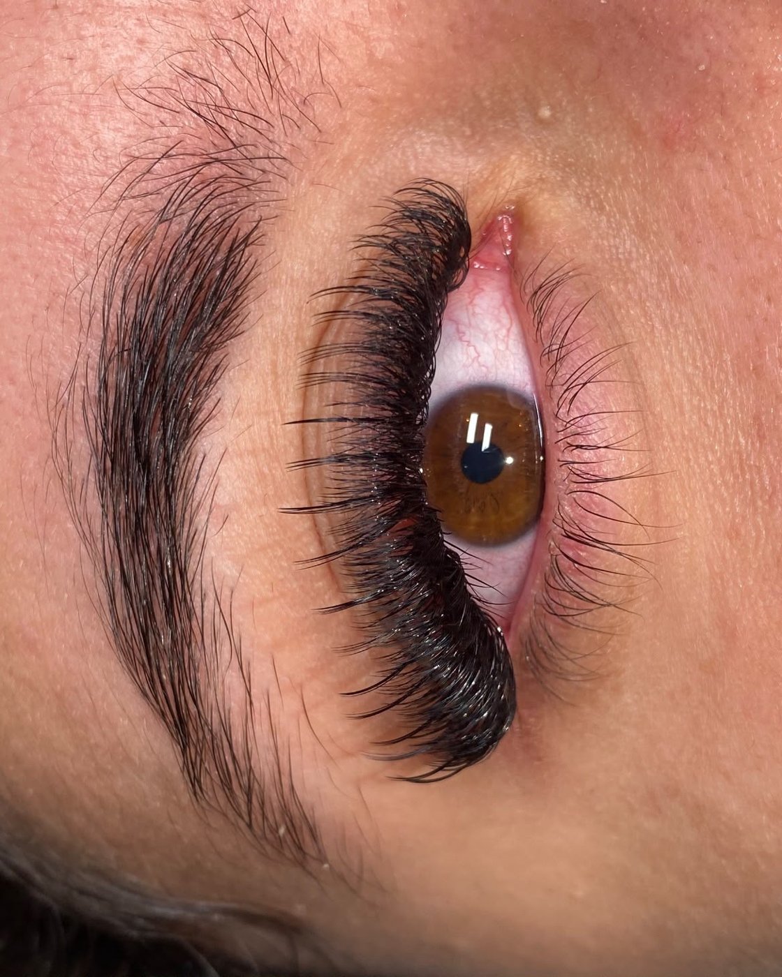 Mega Volume 6D+ — Soa Lashes - Alexanderplatz